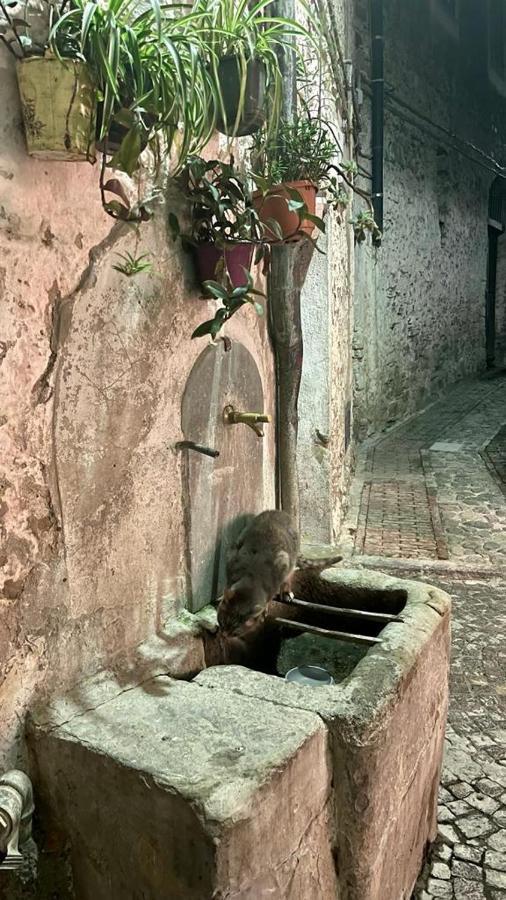 Le Petit Bijou Di Dolceacqua, Per Un Momento Romantico Bagian luar foto